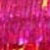 bf024l