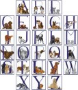 COMPLETE_ALPHA_D_525cd61e7d7fe.jpg