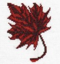Maple_Leaf_4f594462b4825.jpg