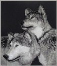 Pack_Mates_5297b8830eec4.jpg