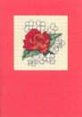 patSN-RedRose.jpg